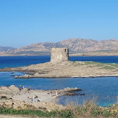 Domo Azuni Sassari